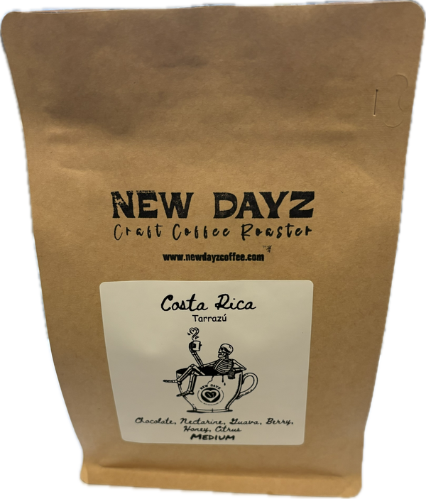 Costa Rica Tarrazú Honey Process